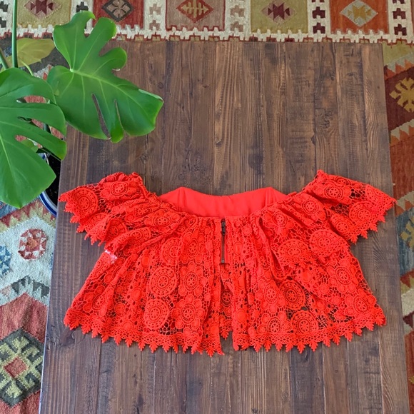 Beautiful Tularosa Top!!! - Picture 6 of 8